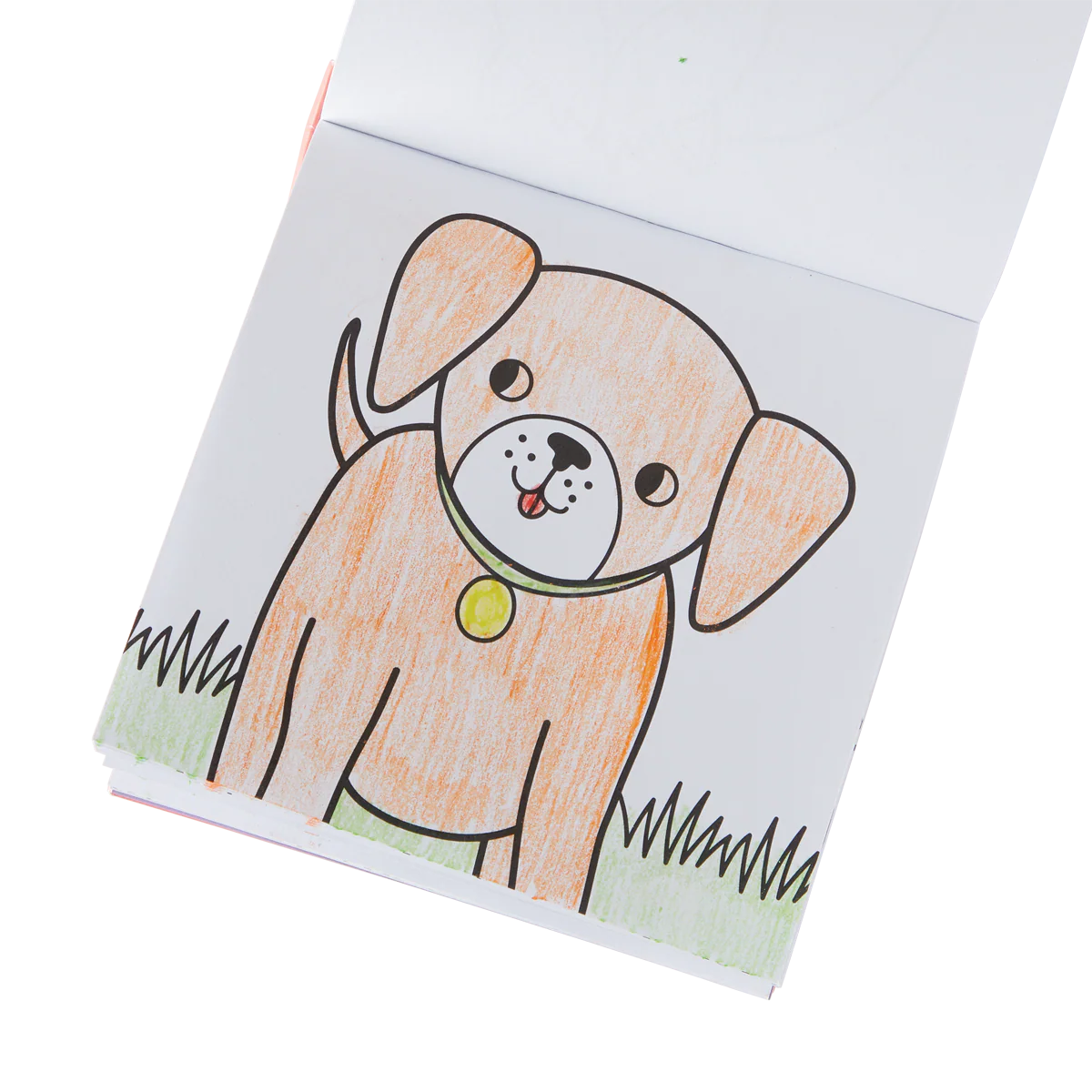 Coloring Book and Crayon Set - Pet Pals - Set of 9 Crayons