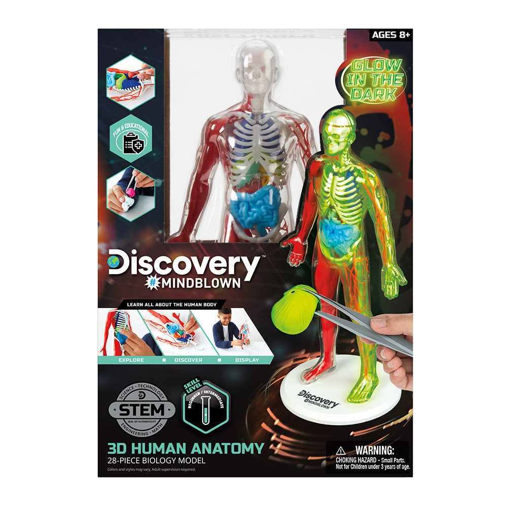 Toy Human Anatomy Kit