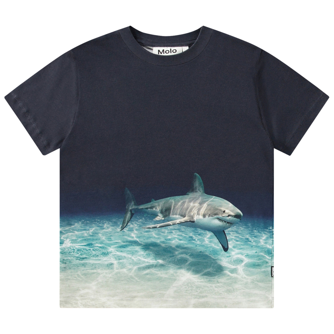 Roxo T-Shirt - Faded Shark