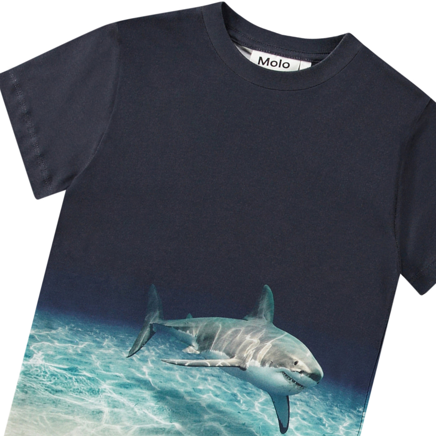 Roxo T-Shirt - Faded Shark