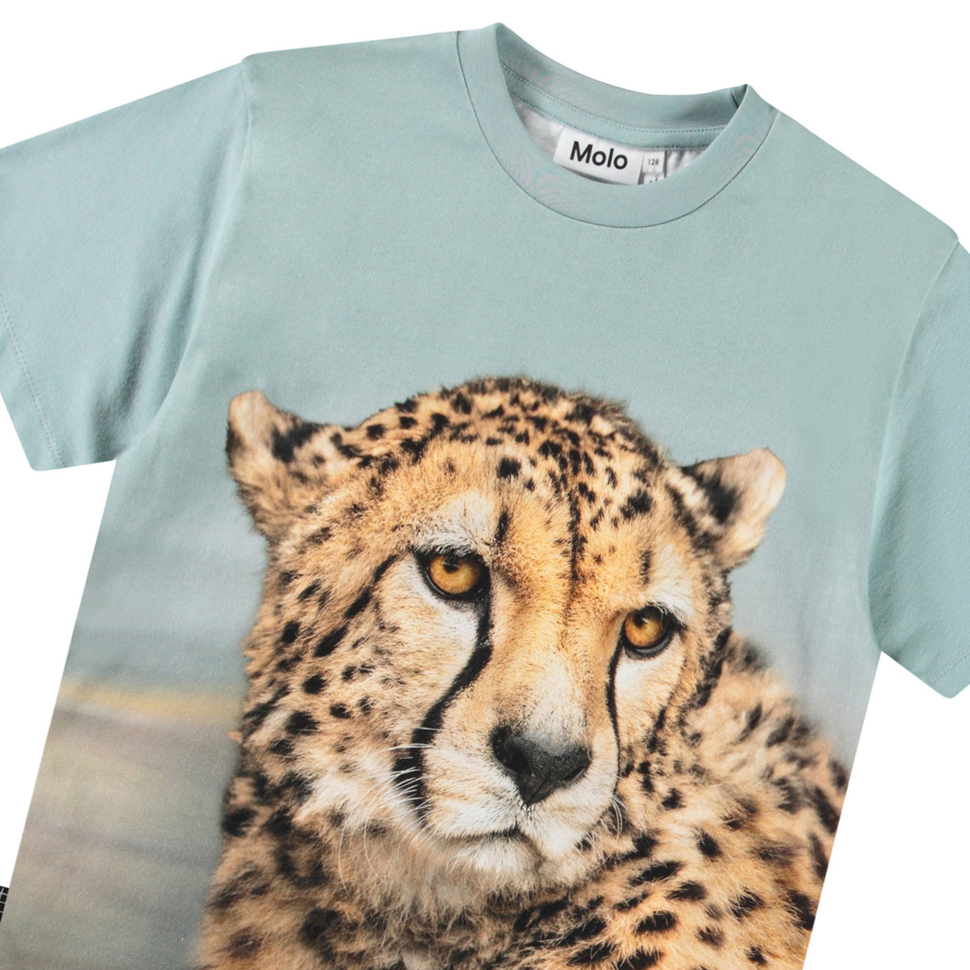 Rubin T-Shirt - Big Cheetah Blue