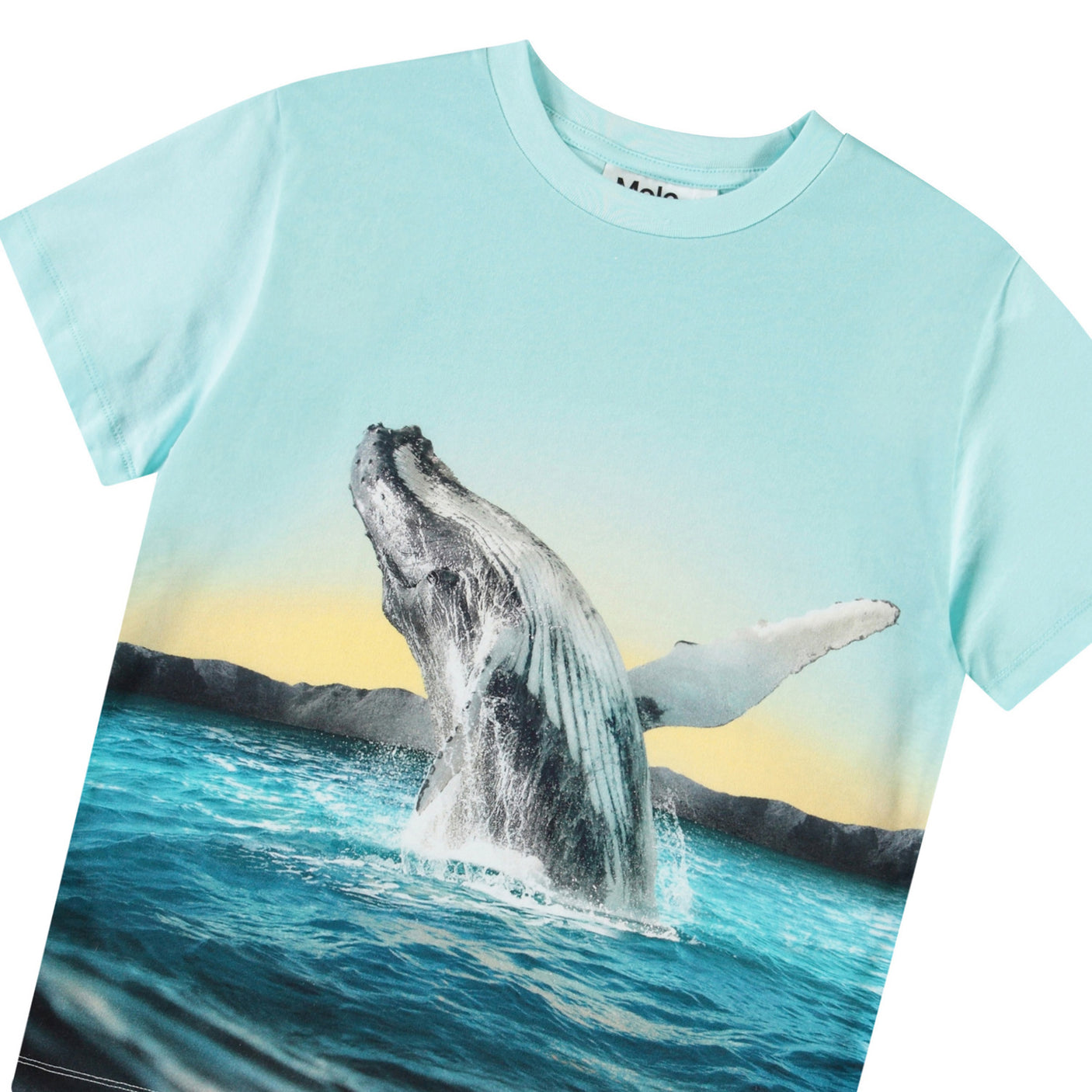 Rame T-Shirt - Whale Jump