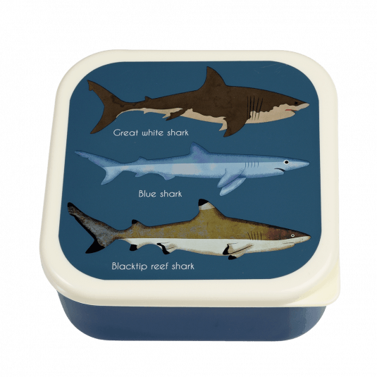 صناديق الوجبات الخفيفة من شركة Sharks (مجموعة من 3 قطع)