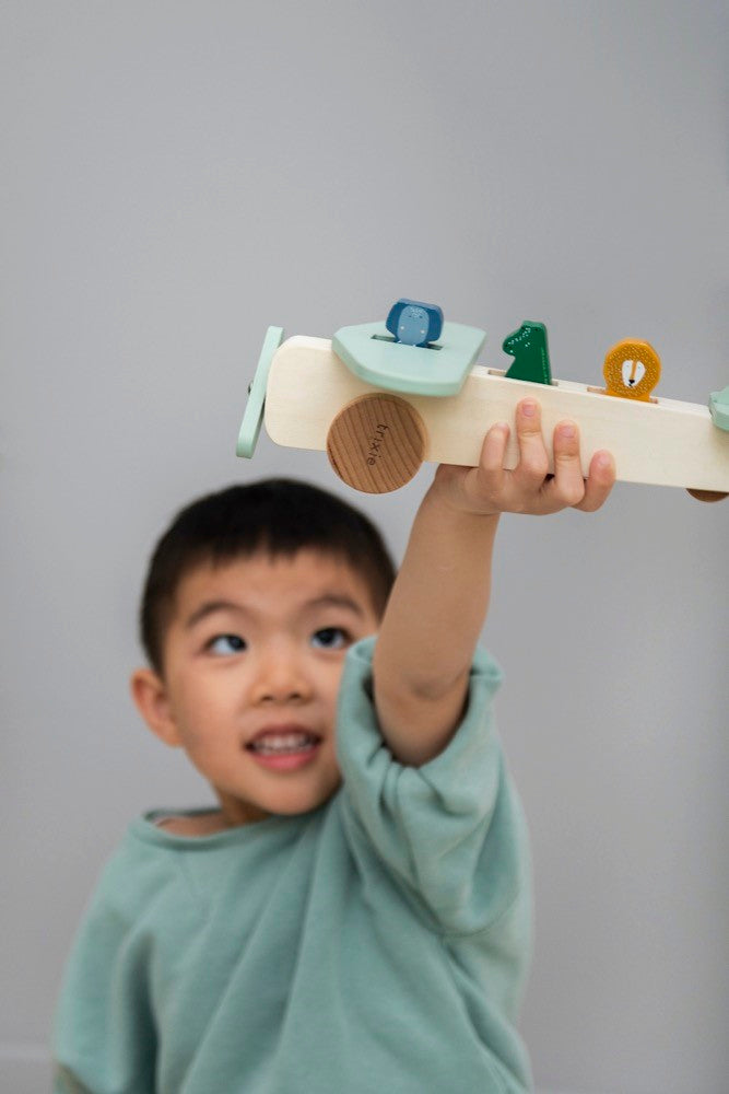 Wooden animal airplane