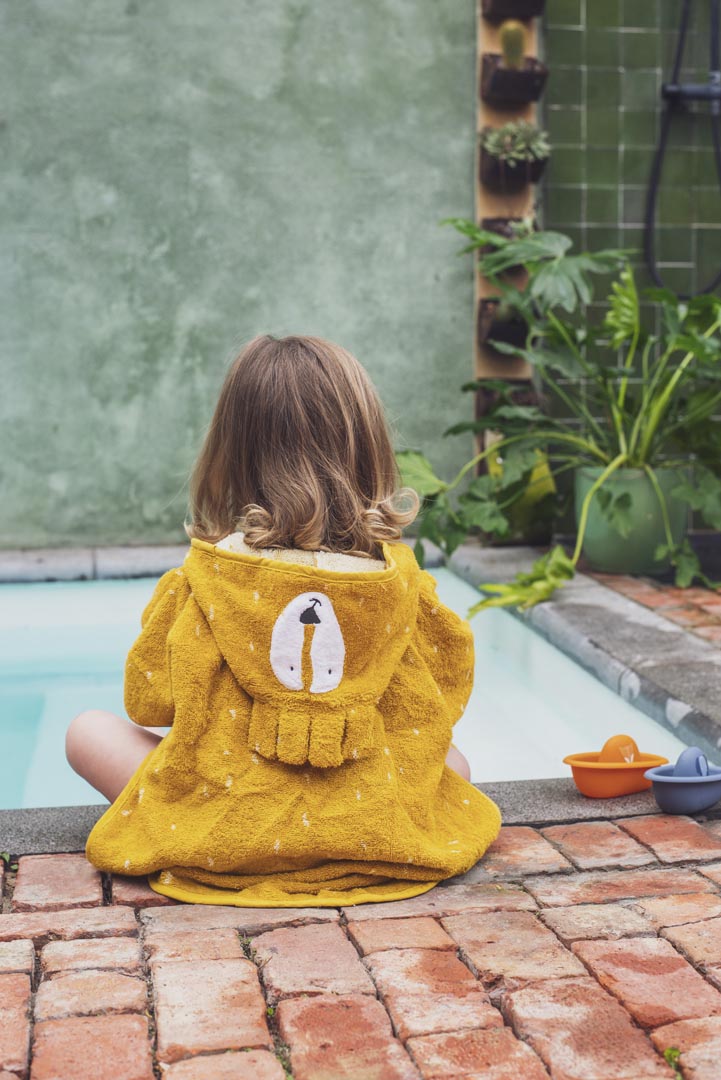 بونشو – السيد أسد