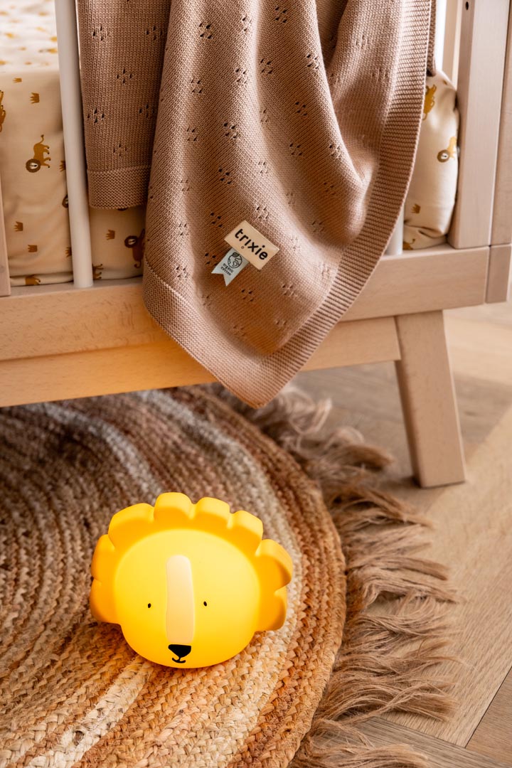 ضوء ليلي — السيد أسد