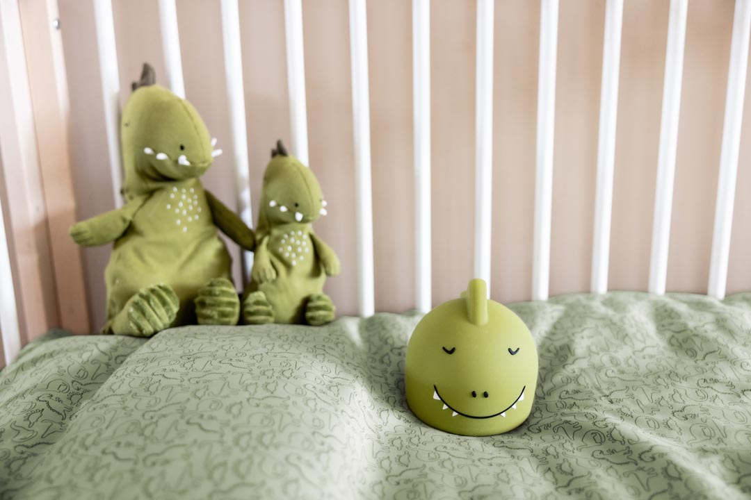 ضوء ليلي — السيد ديناصور