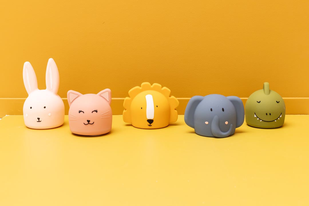 ضوء ليلي — السيدة قطة