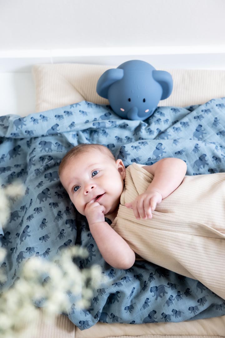 ضوء ليلي — السيدة فيل