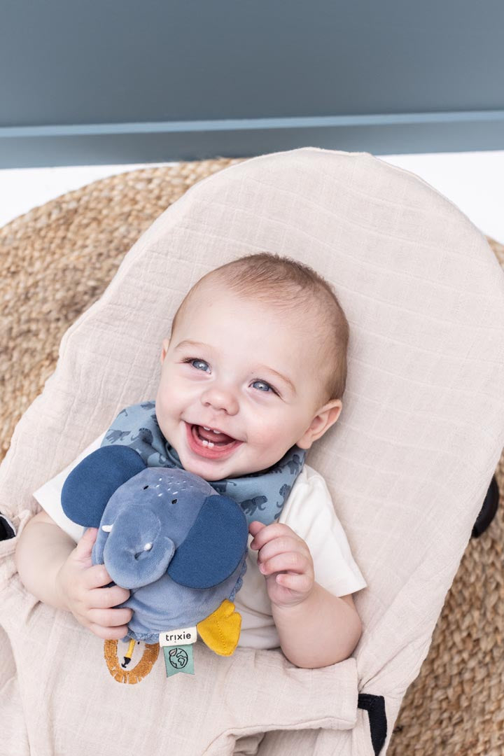 كرة صوتية — السيدة فيل