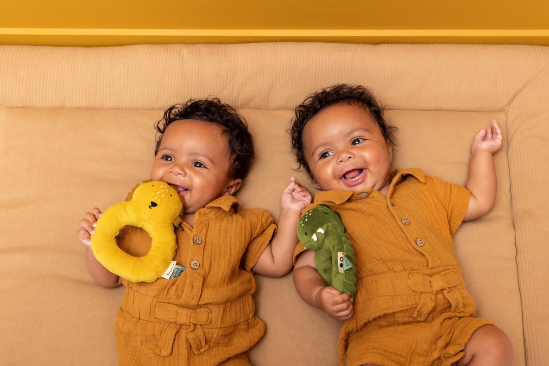 خشخيشة — السيد أسد