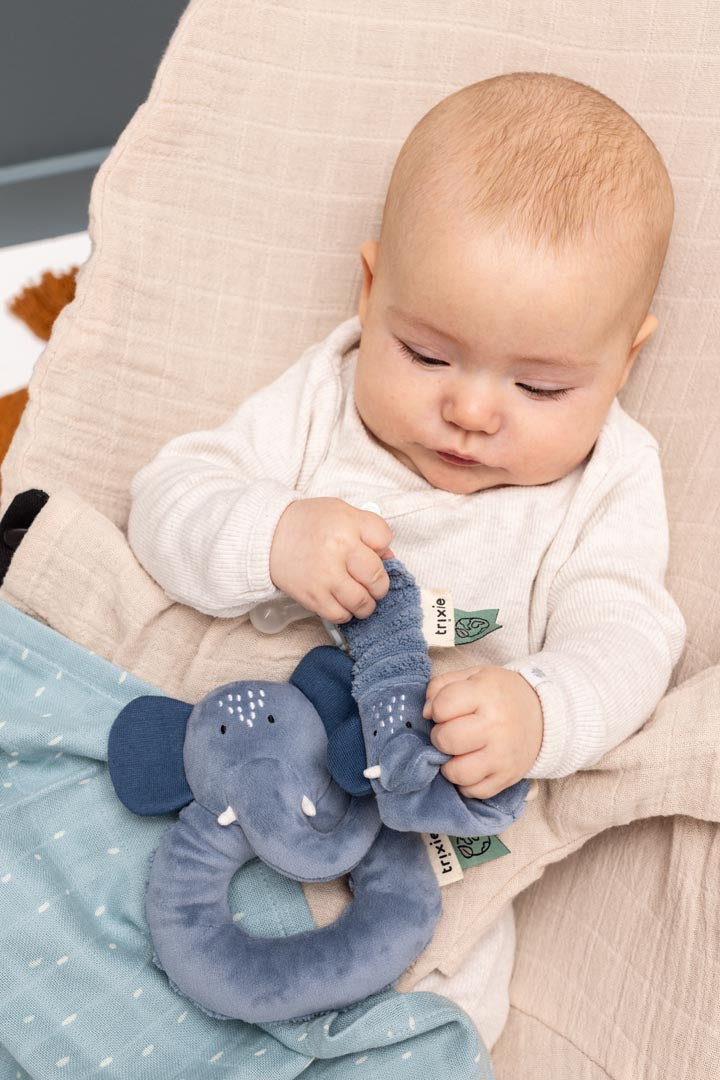 خشخيشة — السيدة فيل