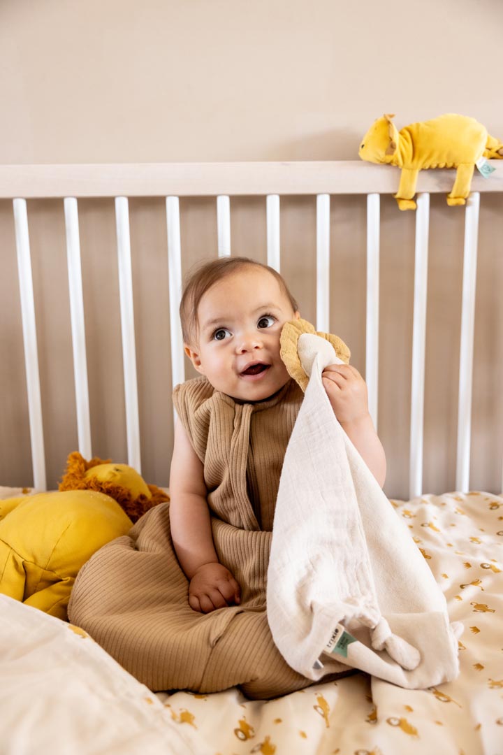 لعبة موسيقية — السيد أسد