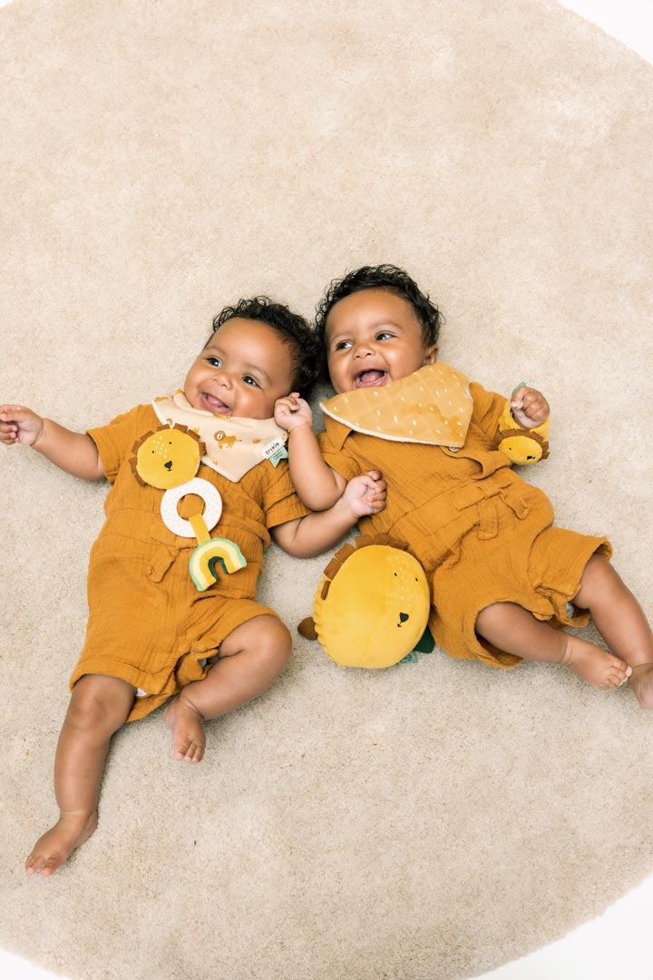 Teething toy - Mr. Lion