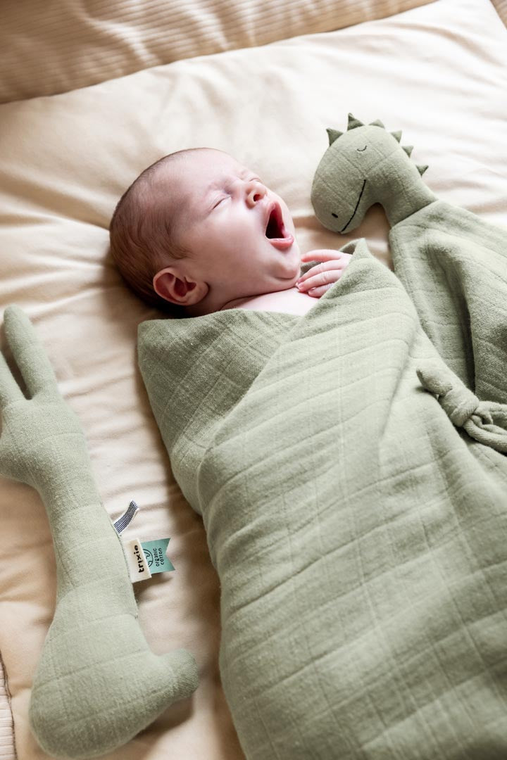 Comforter - Bliss sage - Mr. Dino