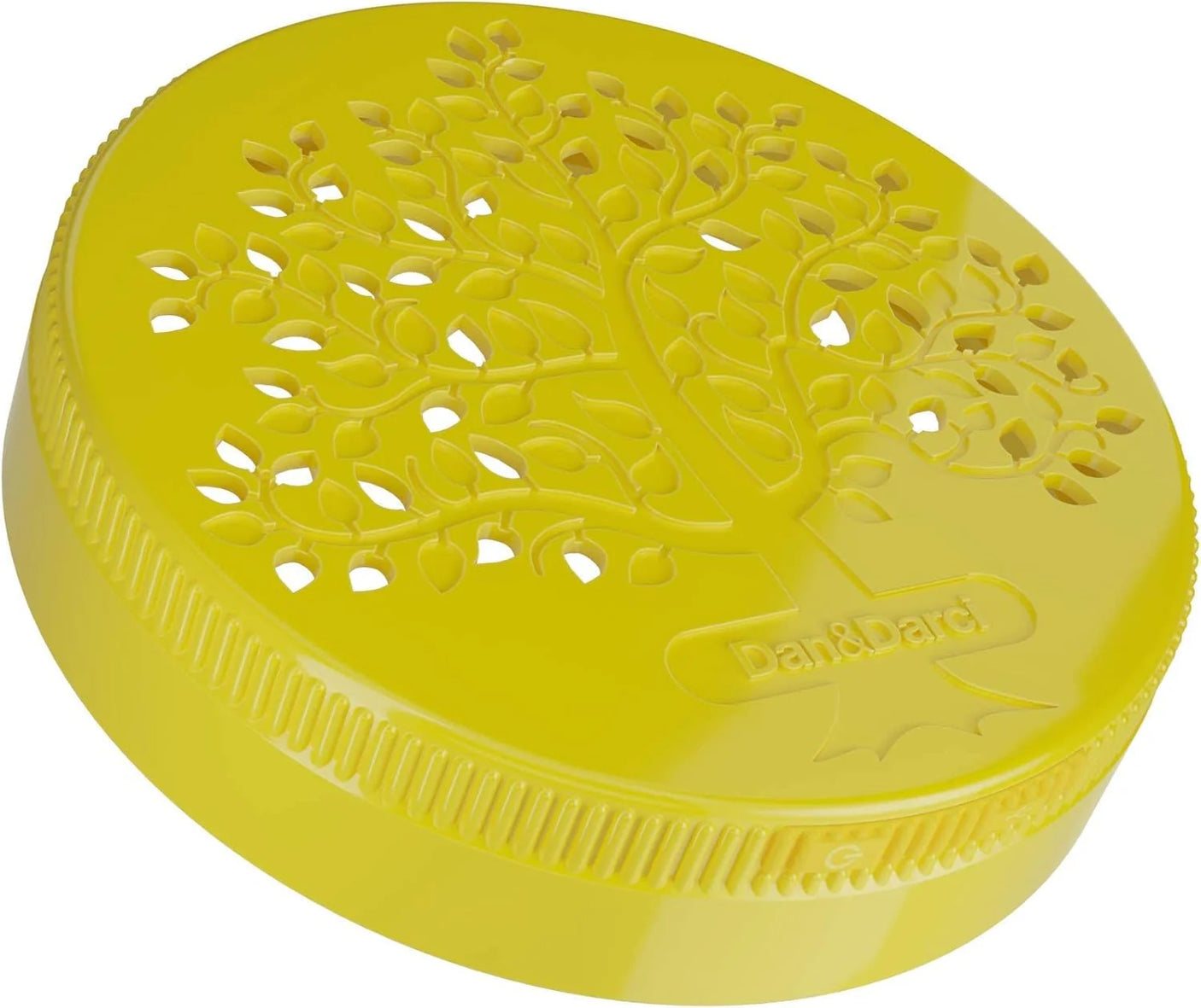 Light Up Dino World Terrarium Kit