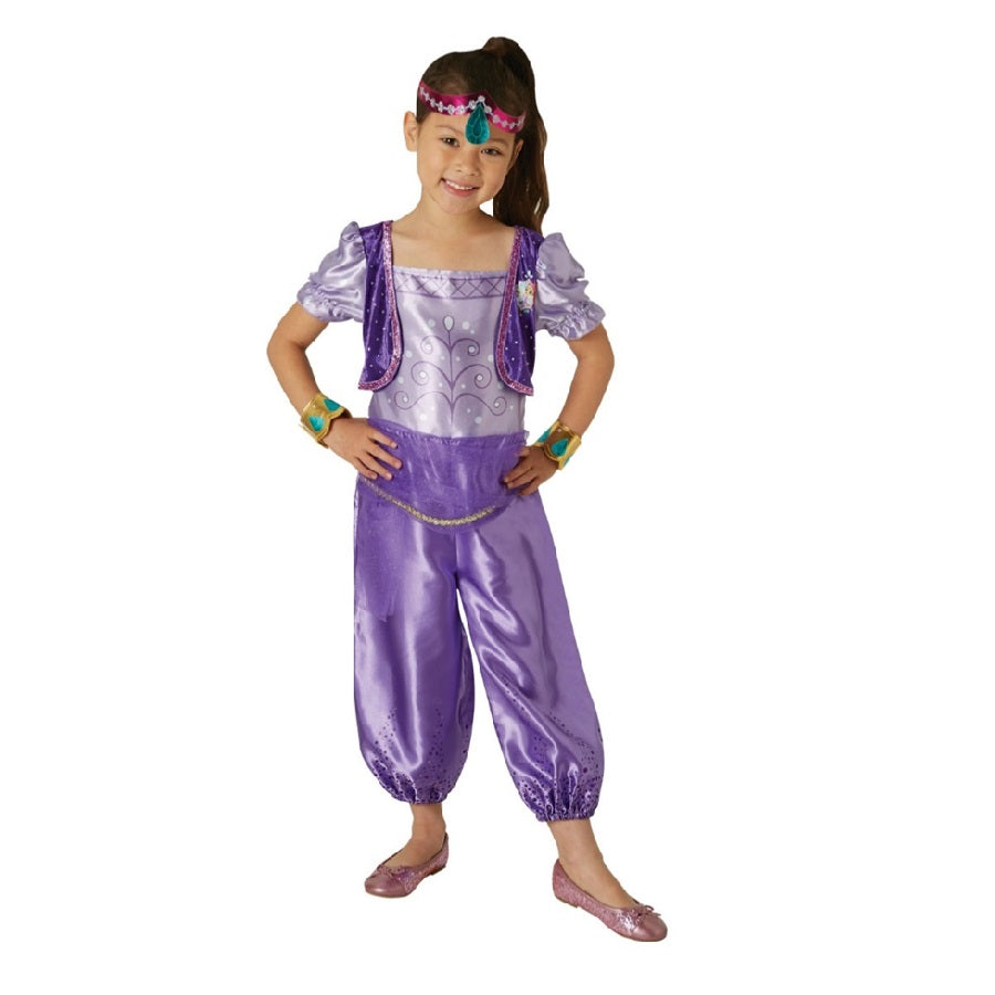 Shimmer Costume 3-4 Years Old