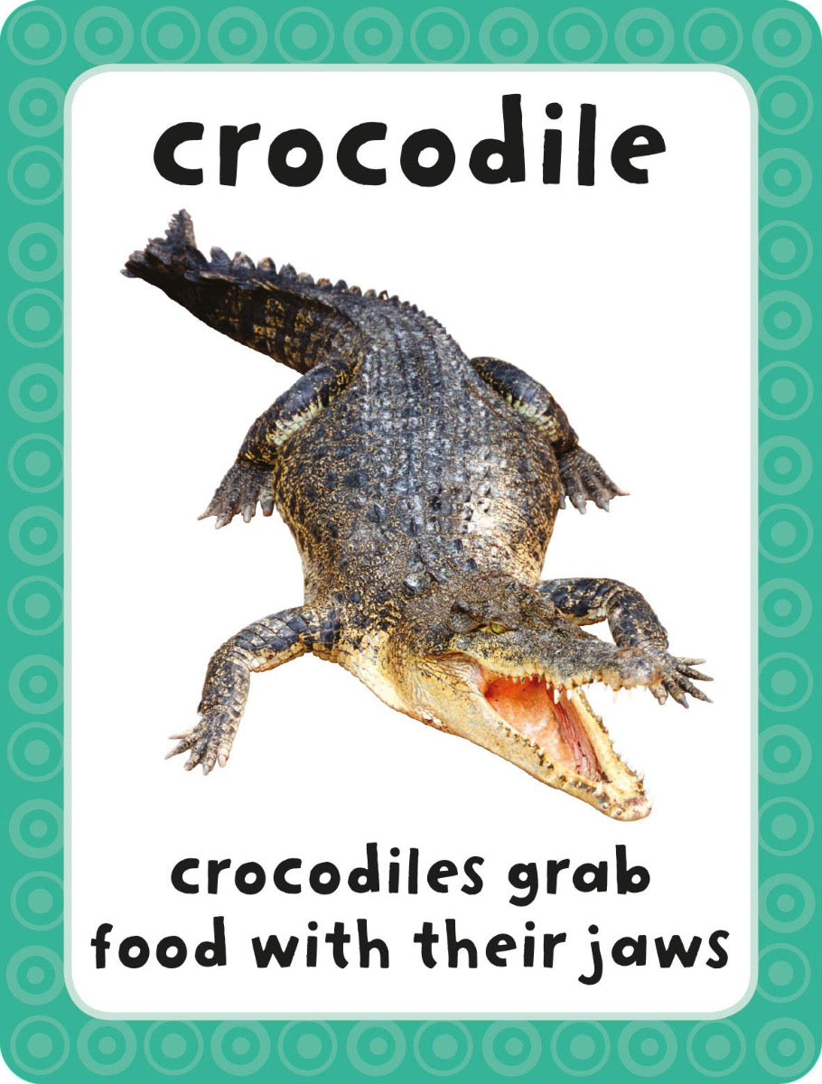 Get Set Go: Flashcards - Animals
