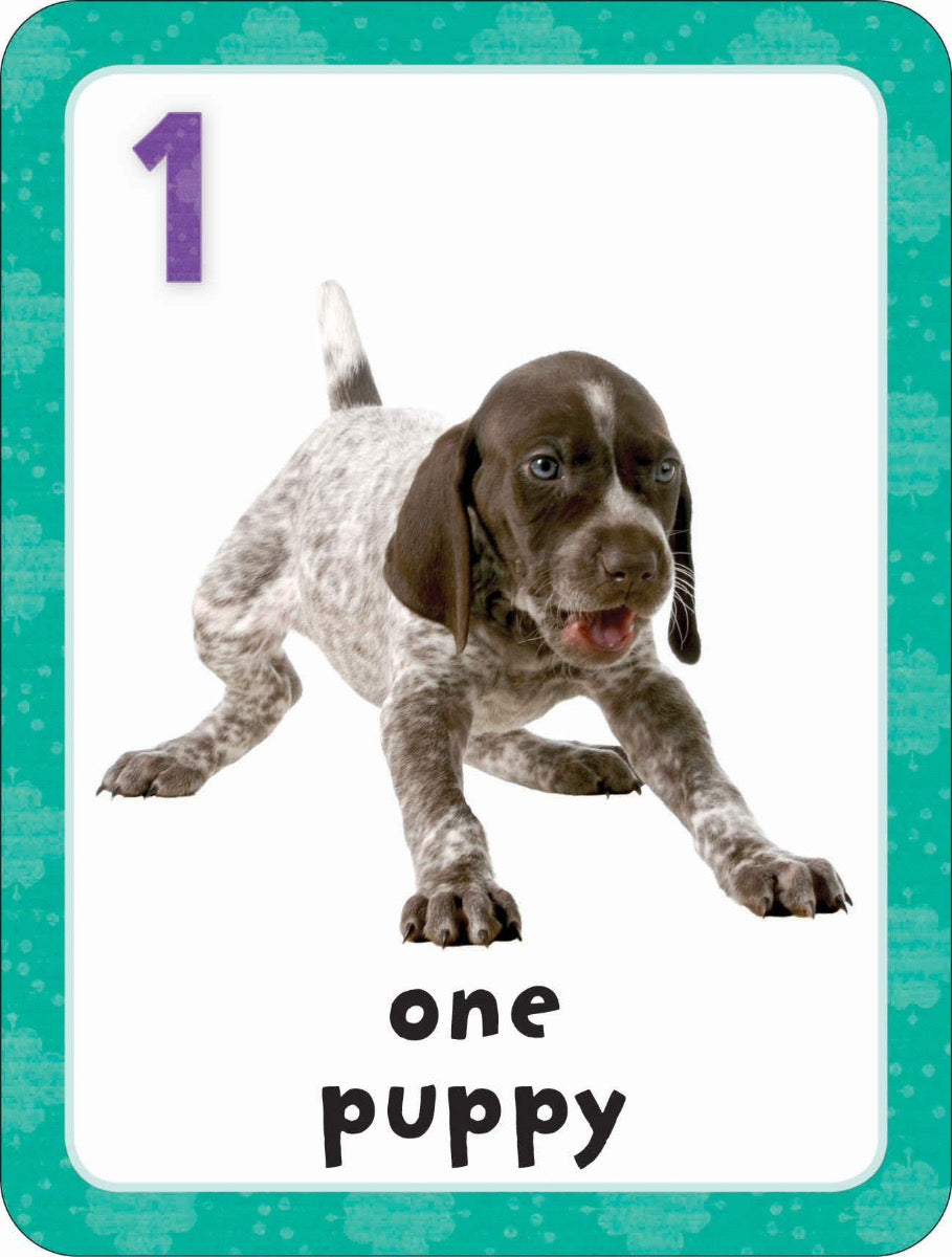 Get Set Go: Flashcards - 123