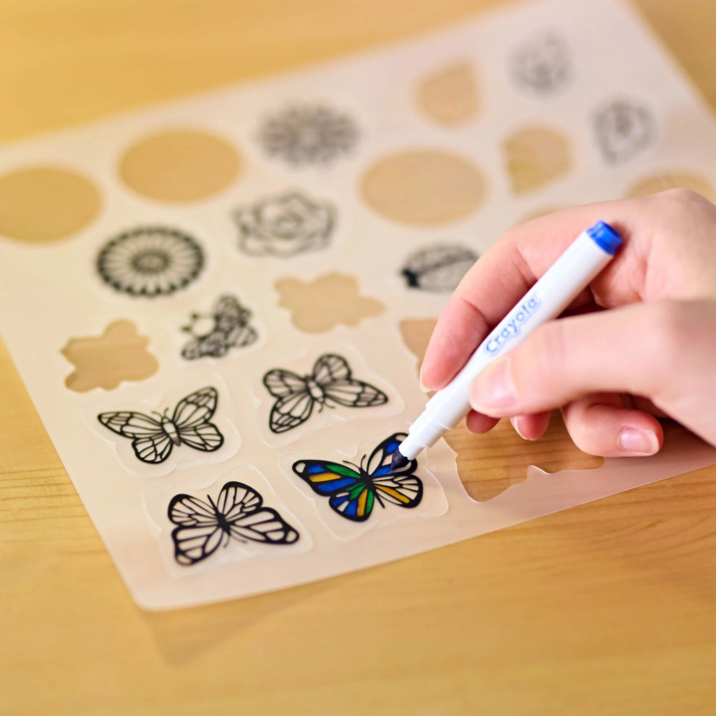 Suncatcher Creator Butterfly Garden