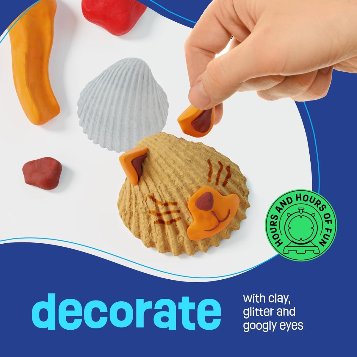 Sea Shell Painting Kit