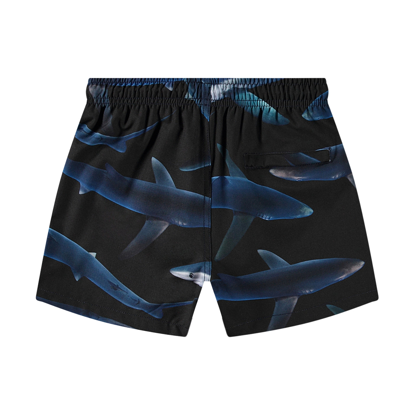 Niko - Midnight Sharks