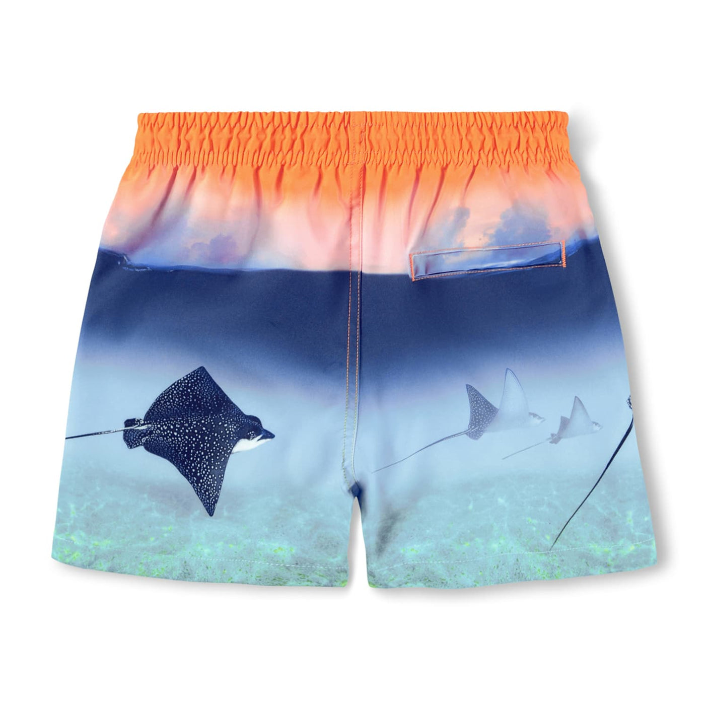 Niko Swimshort - Into The Sunset