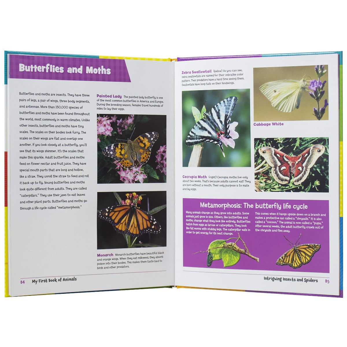 Active Minds - My First Book of Animals