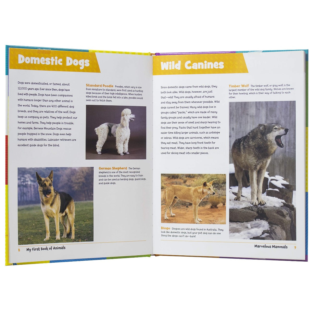 Active Minds - My First Book of Animals