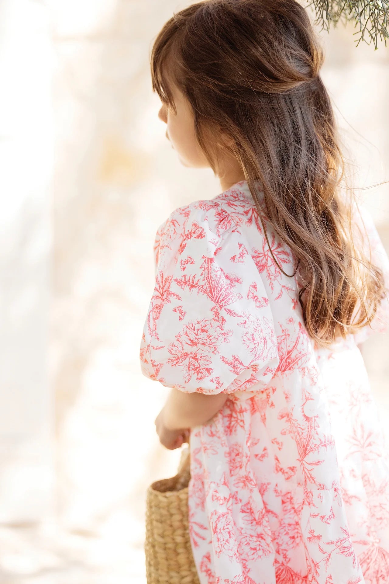 Long Dress Praline Inspiration Toile de Jouy - Pink