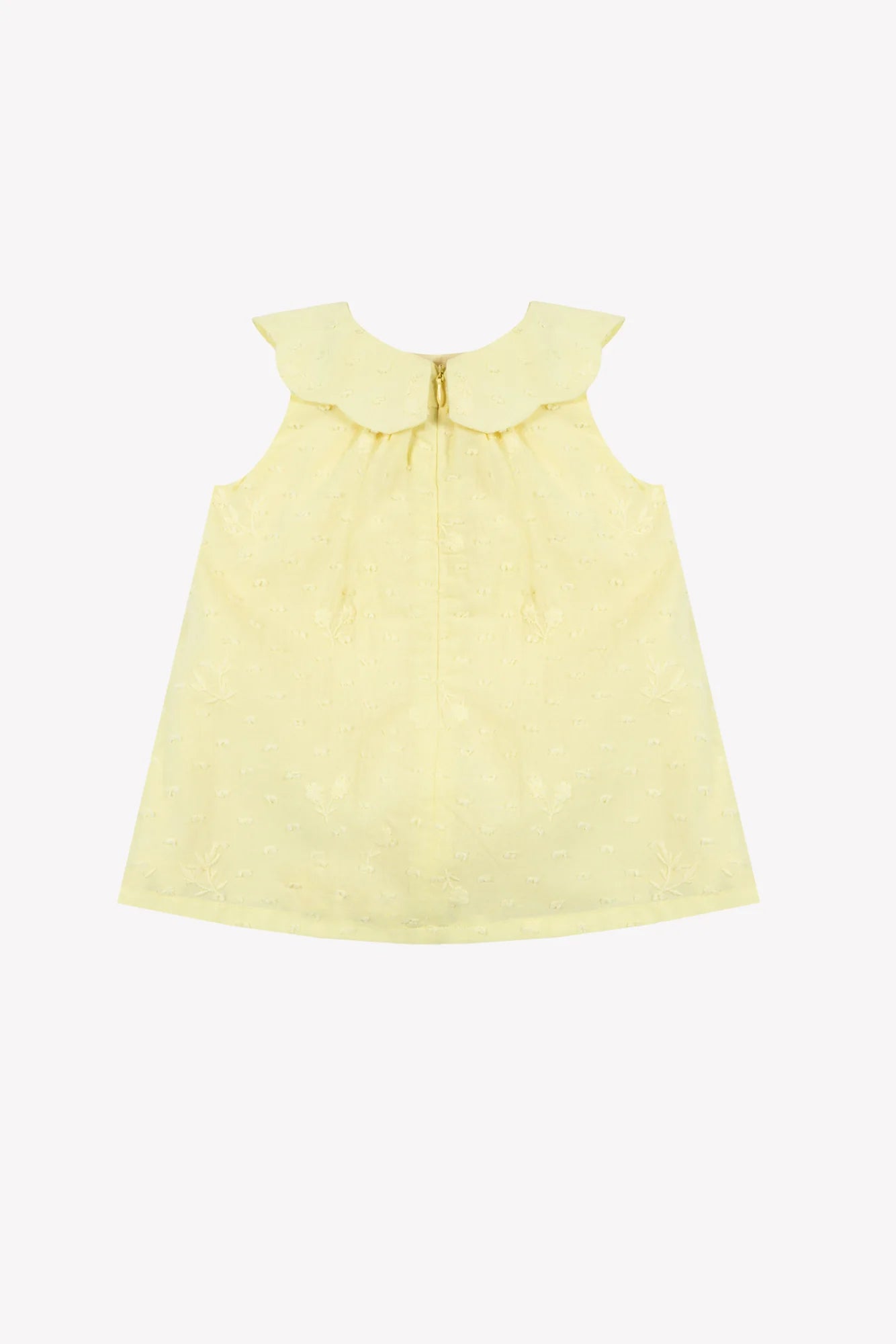 Dress - Citrus Cotton Peter Pan Collar