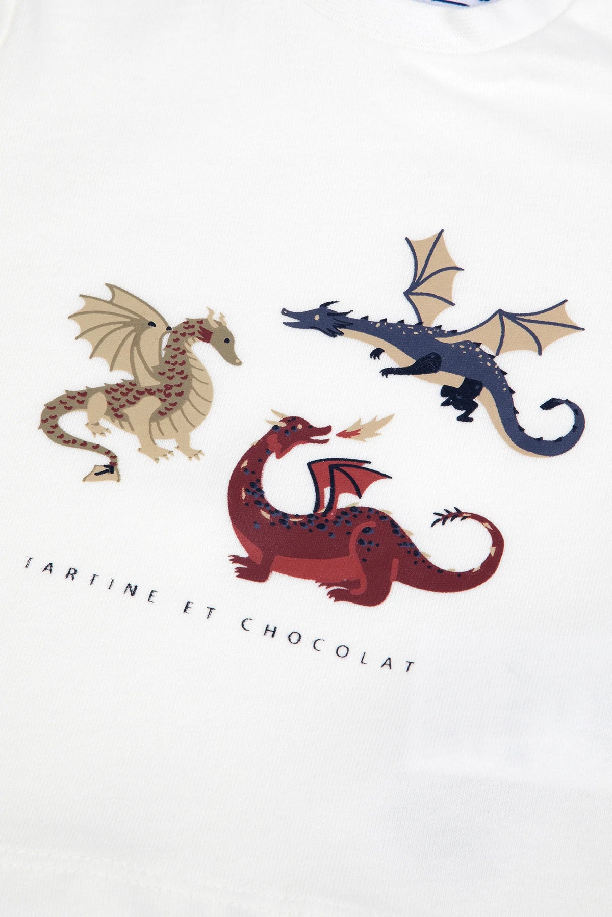 T-Shirt Burgundy Cotton Dinosaur Print
