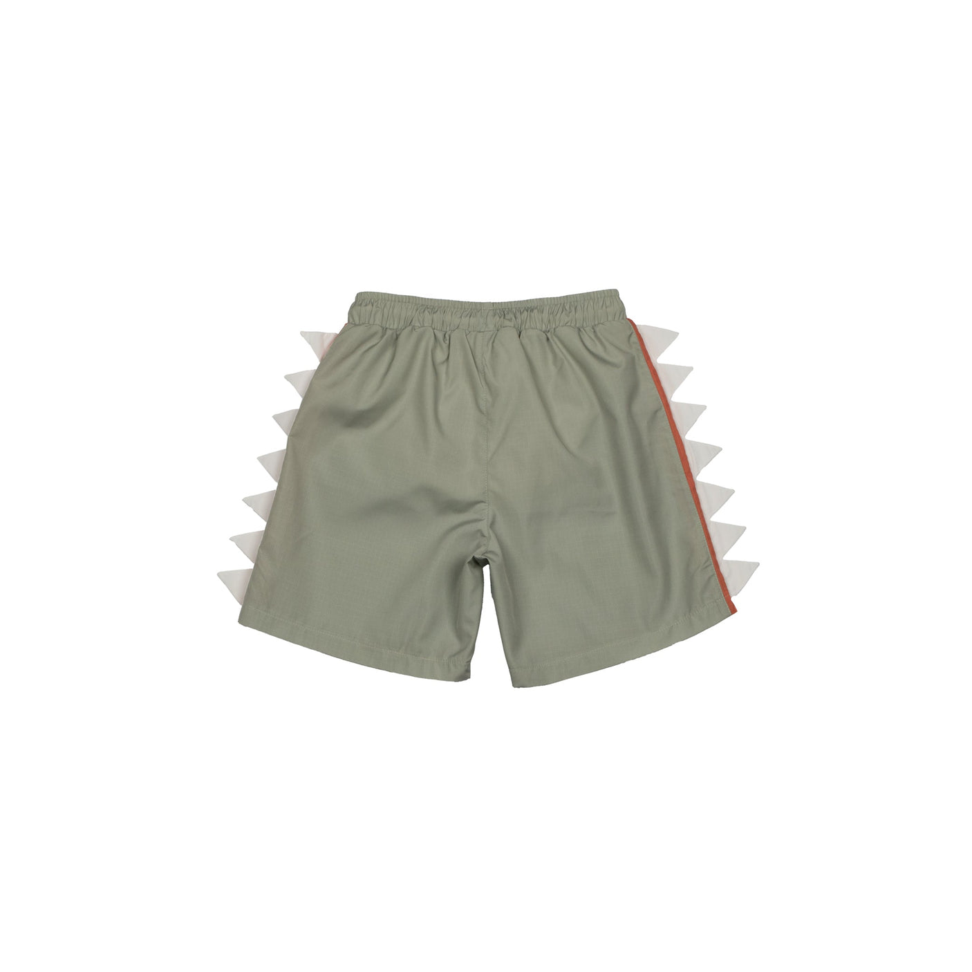 Dino Pinchos Swimshorts