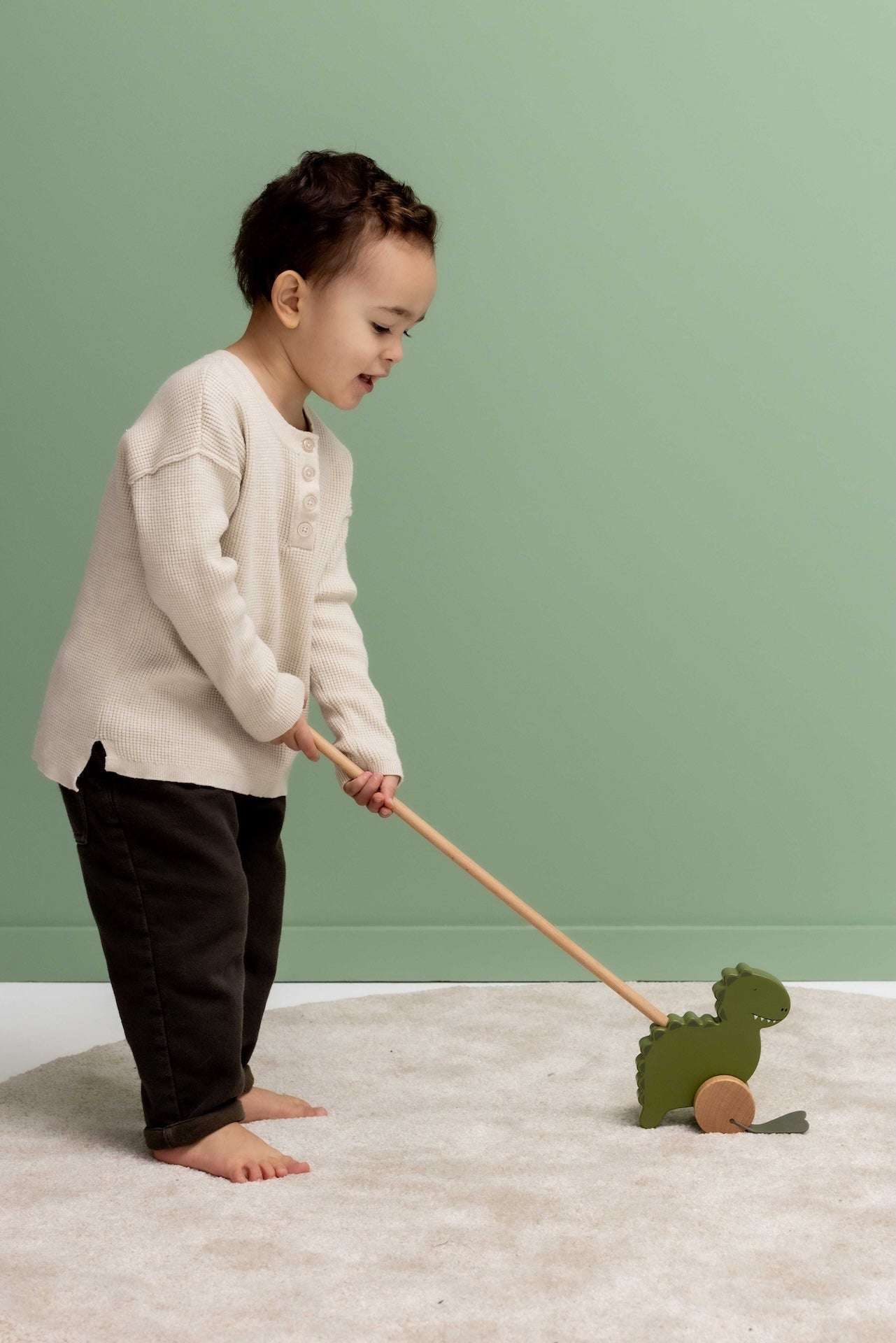 لعبة دفع خشبية — السيد ديناصور