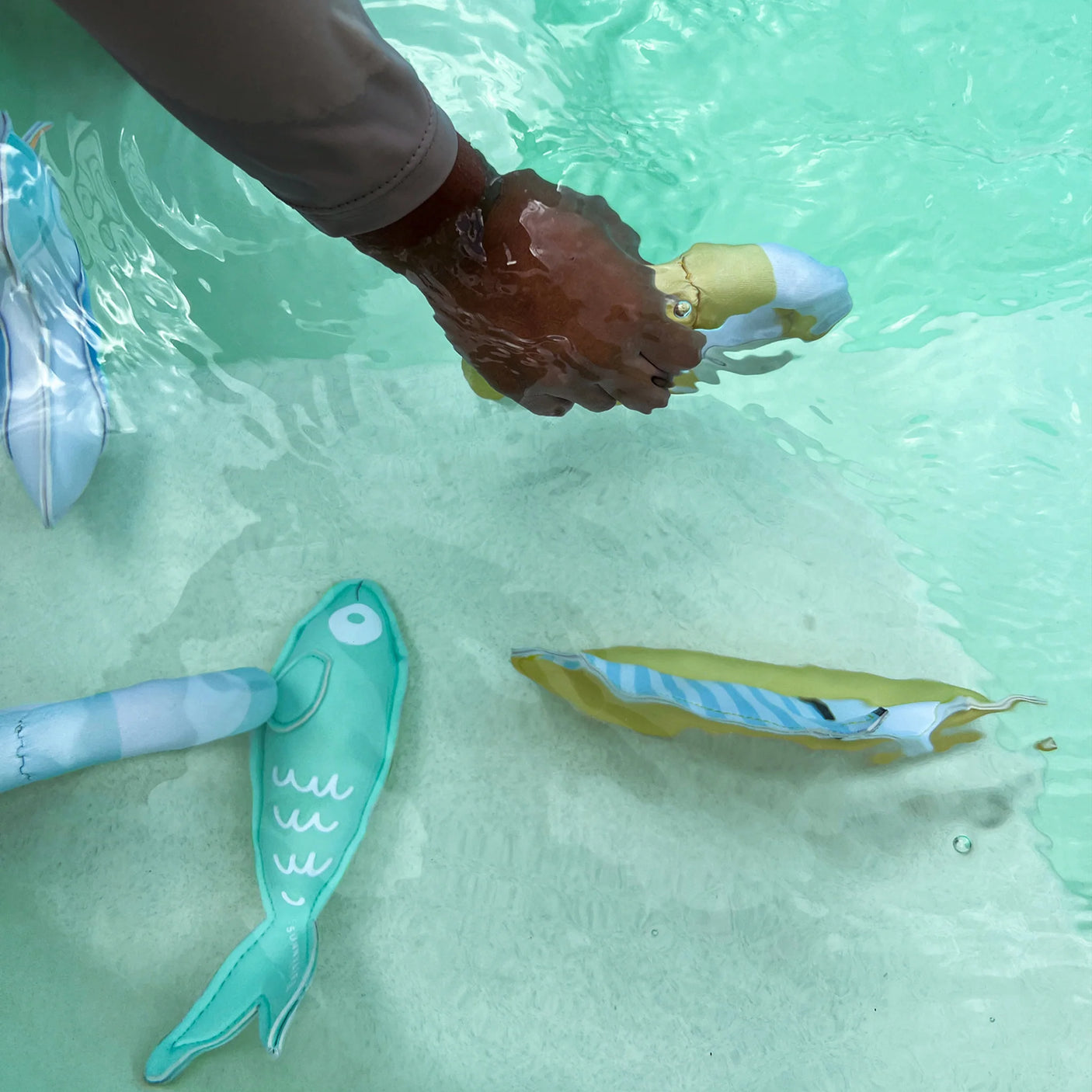 Dive Buddies Sid the Seagull Multi Set of 6