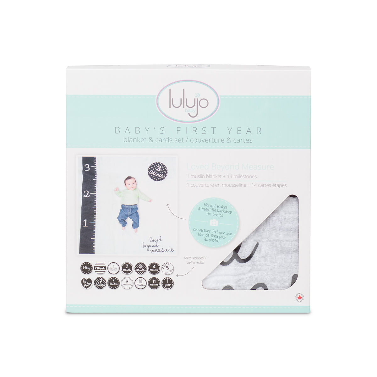 Baby's First Year Blanket & Card Set - Loved Beyond Measure