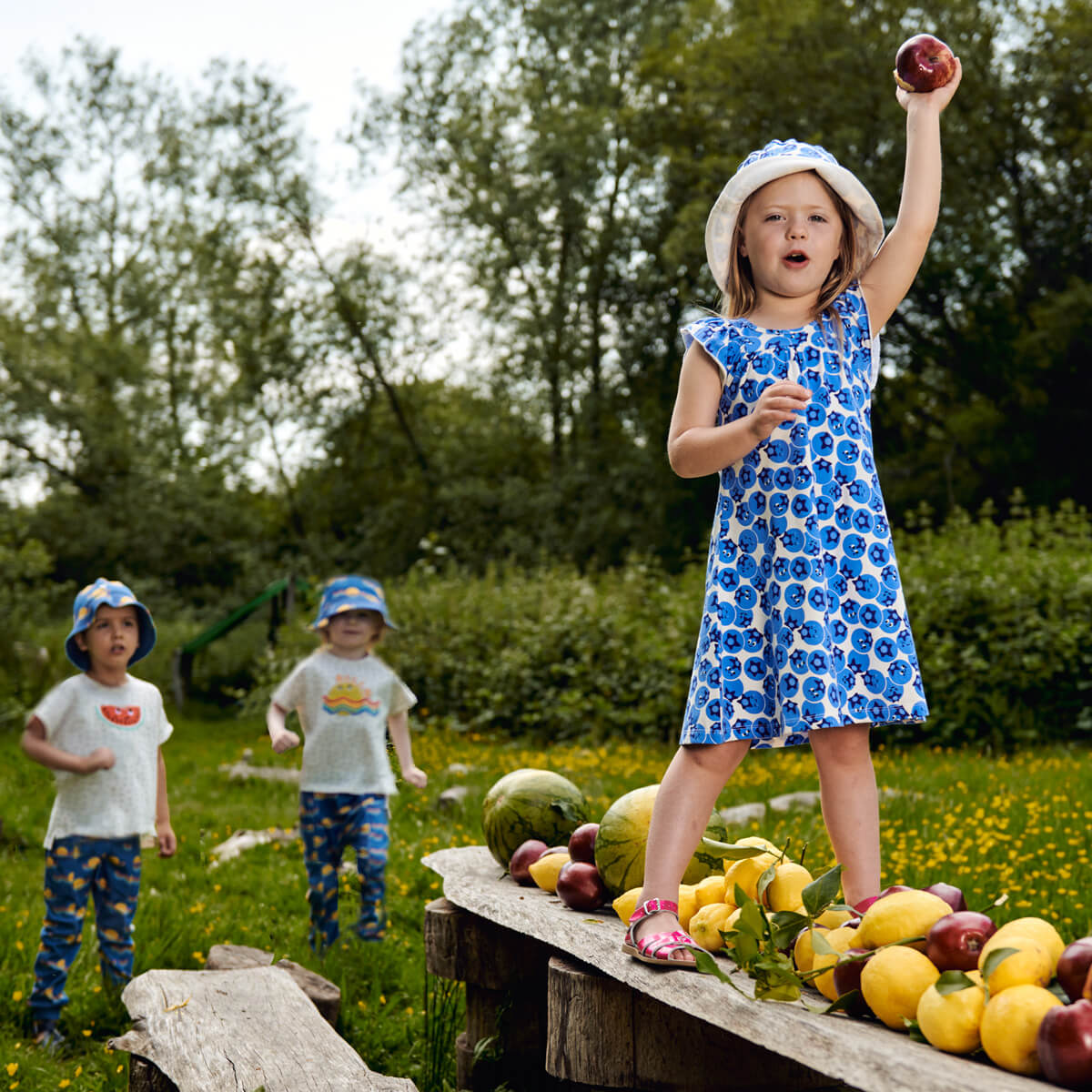 Blueberry Frill Shoulder Dress