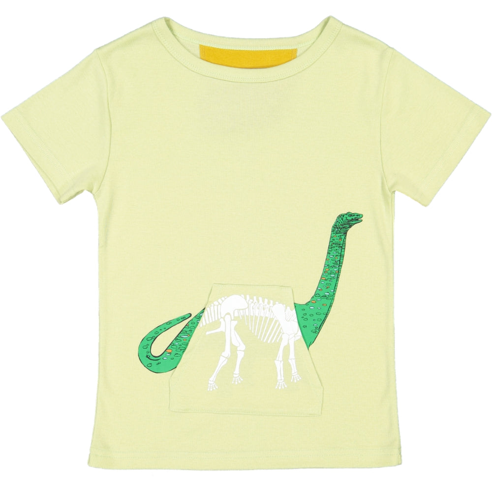 Tshirt X-Ray Dino