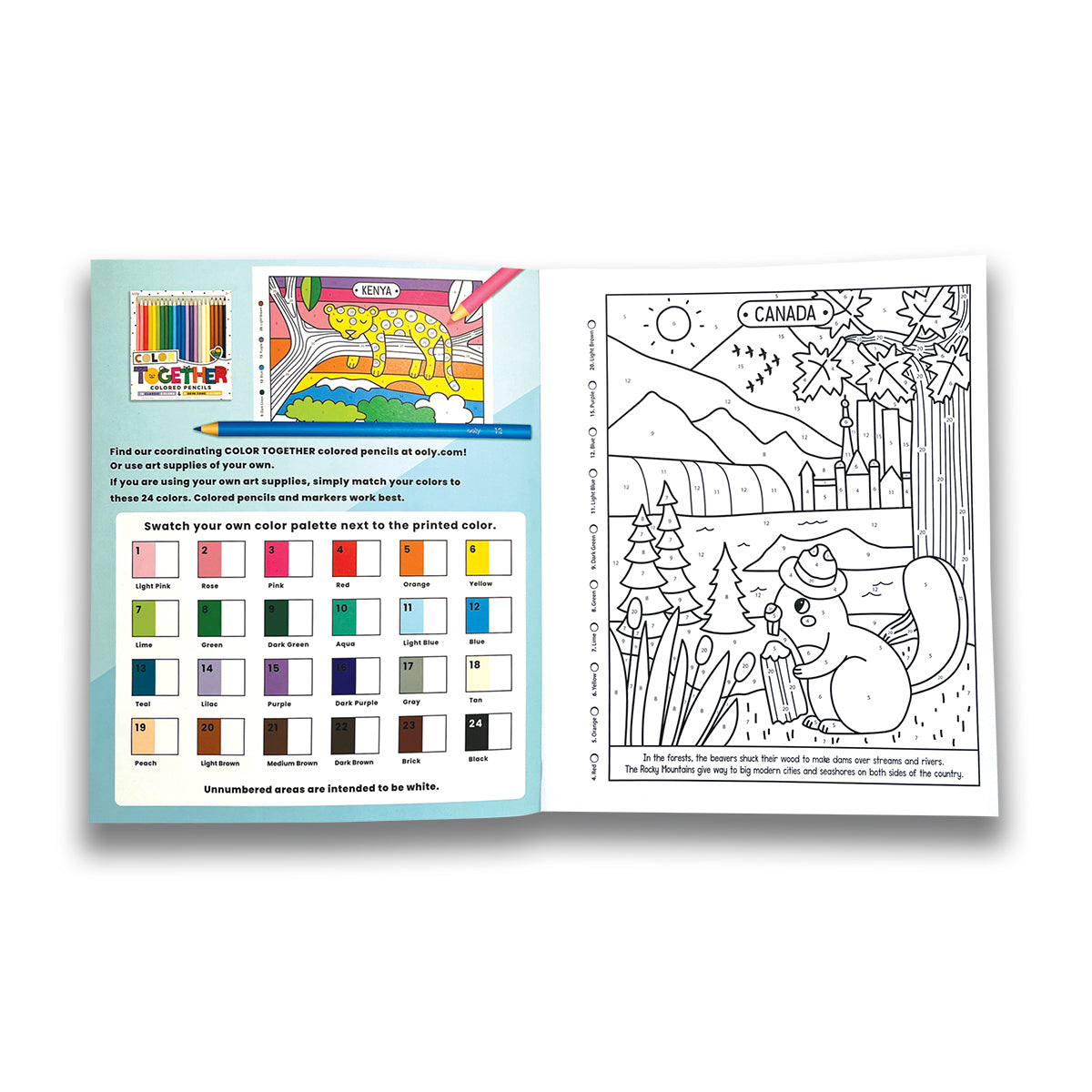 Color By Numbers Coloring Book- Wonderful World