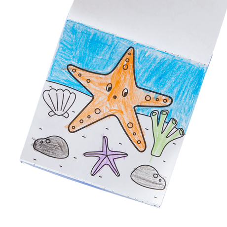 Coloring Book and Crayon Set - Sea Life - Set of 9 Crayons