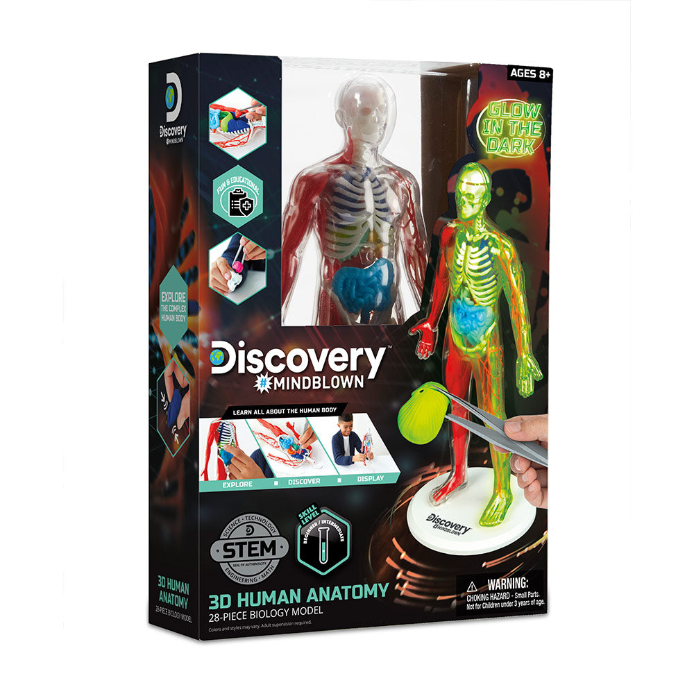 Toy Human Anatomy Kit