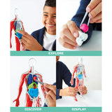 Toy Human Anatomy Kit