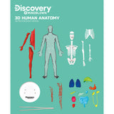 Toy Human Anatomy Kit