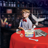 Toy Experiment Kit Magic Of Science