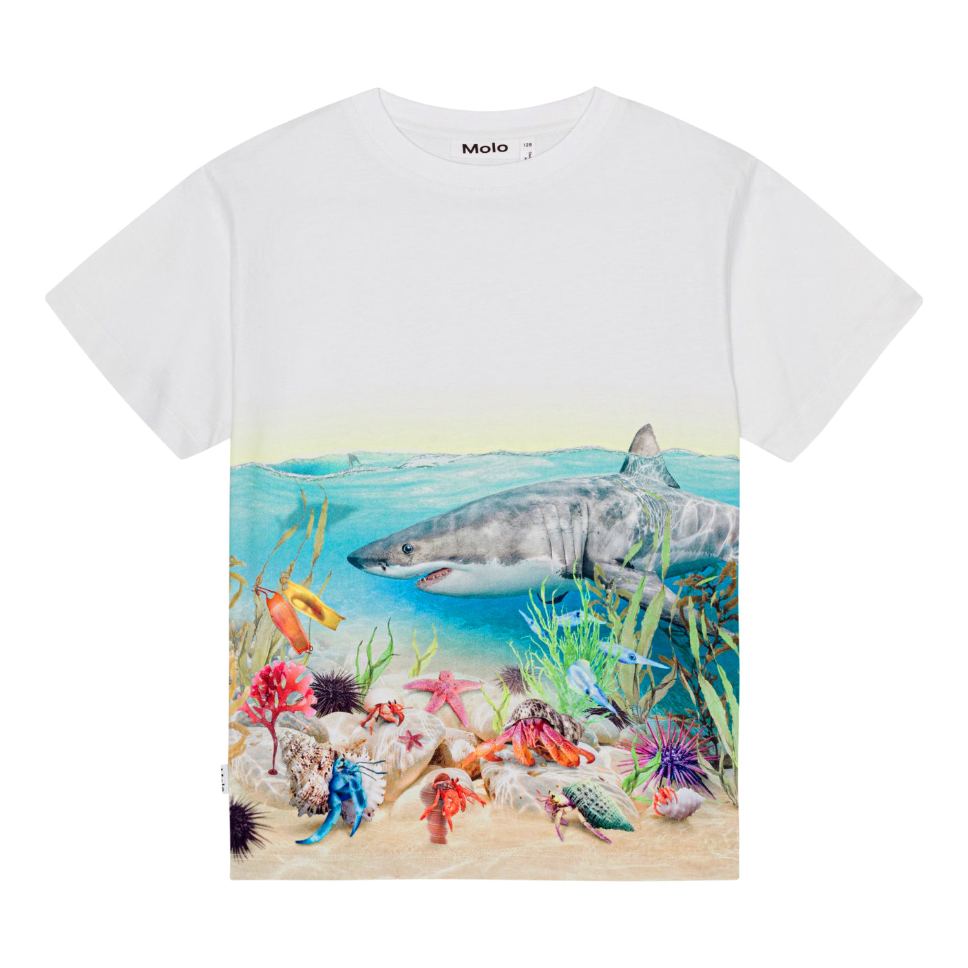 Raveno Tshirt - Shore Sharks