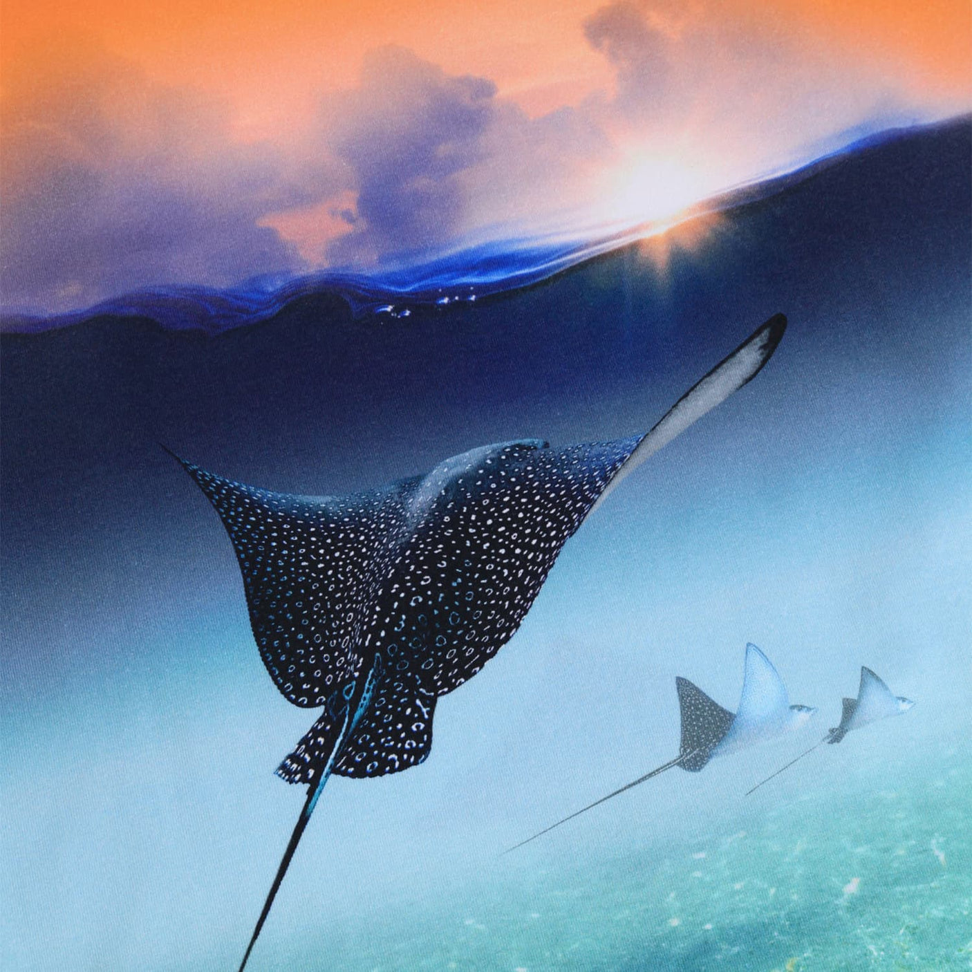 Raul T-Shirt - Into The Sunset