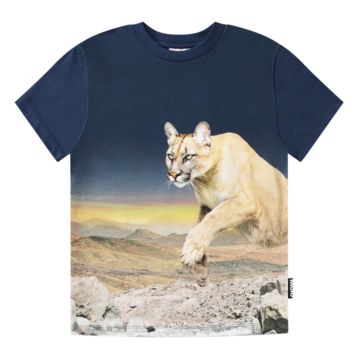 Roxo Tshirt - Puma Blue