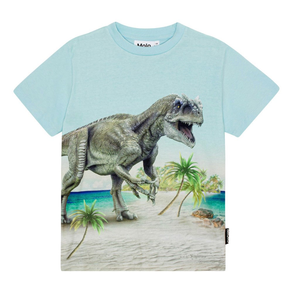 Roxo- Beach Dino tshirt