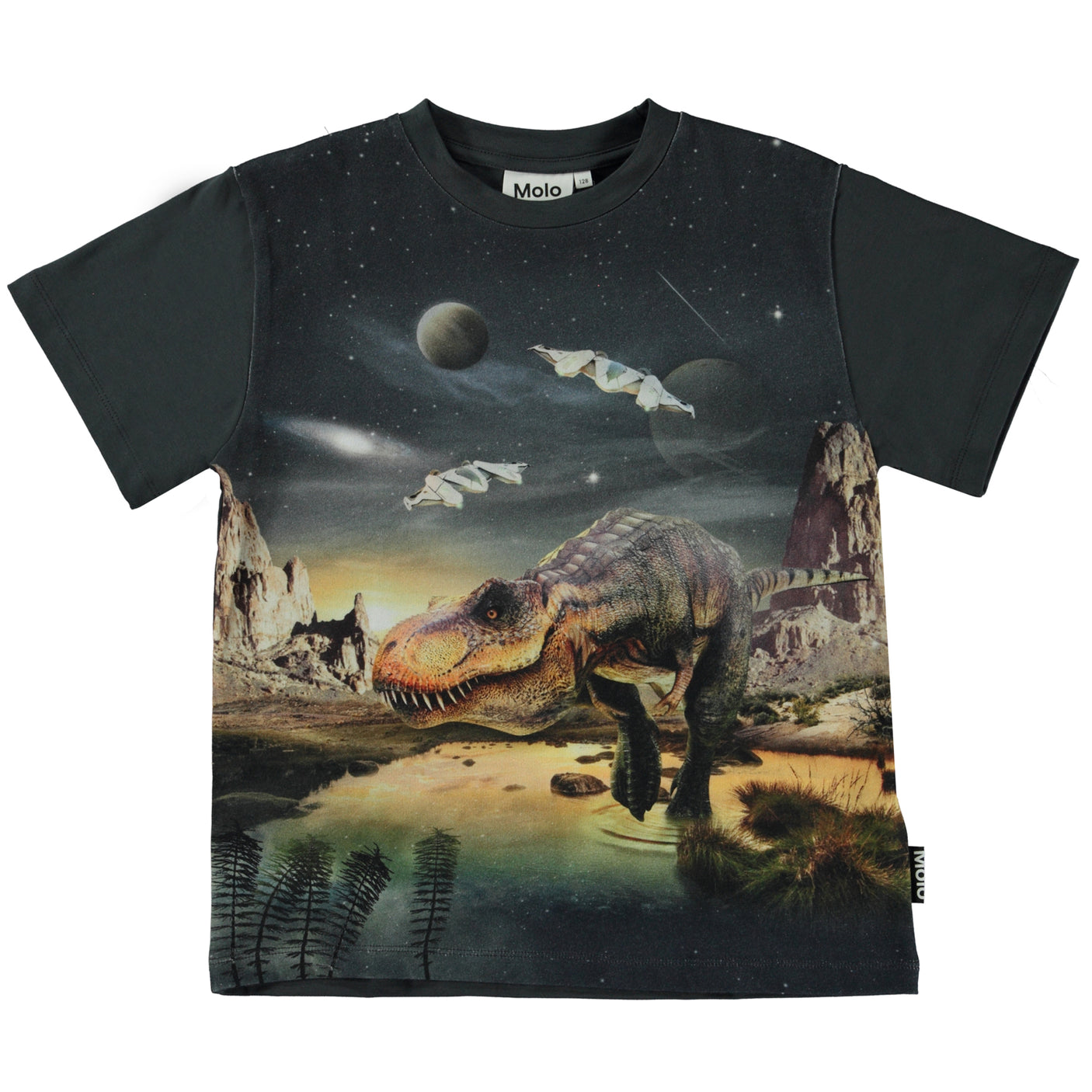 Riley T-Rex Planet Tee