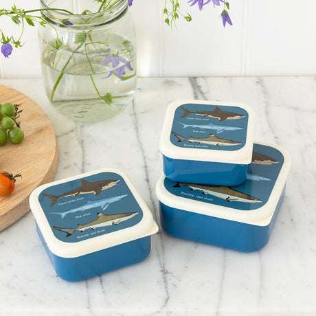 Sharks Snack Boxes ( Set Of 3 )